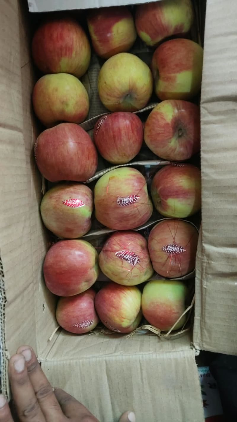 Apple normal 1kg