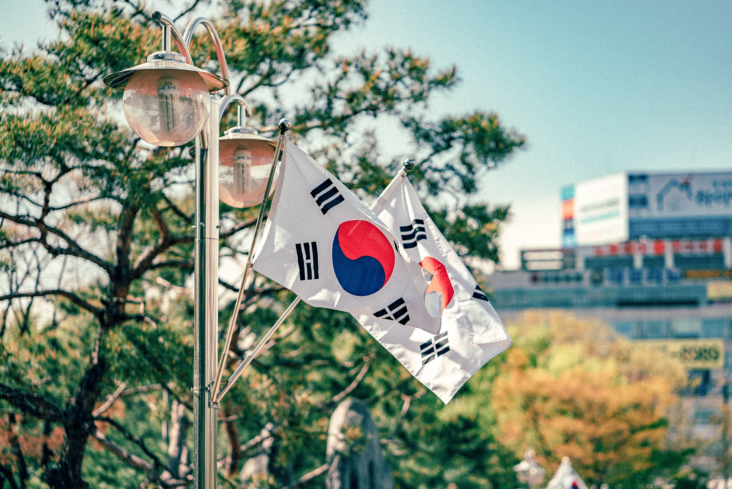 이제는 어디서든 볼 수 있는 태극기
