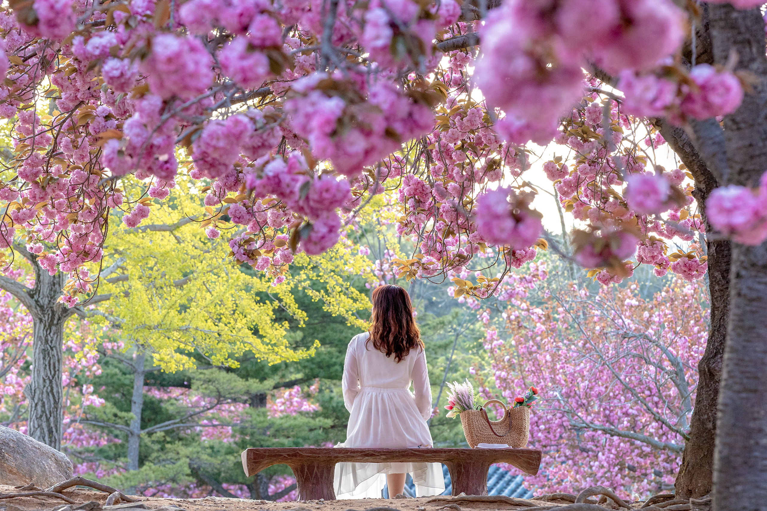경주 여행