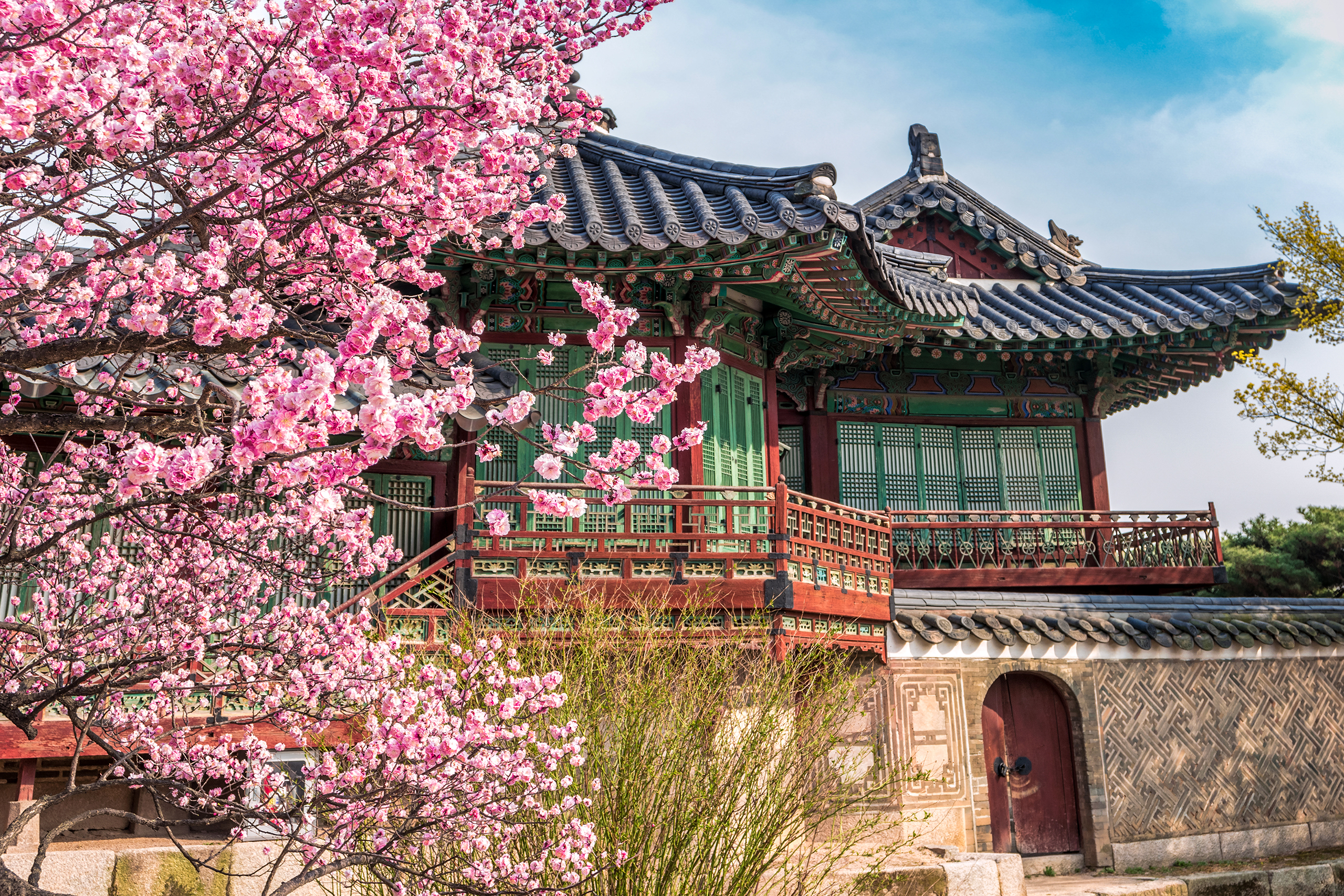 창덕궁의 낮