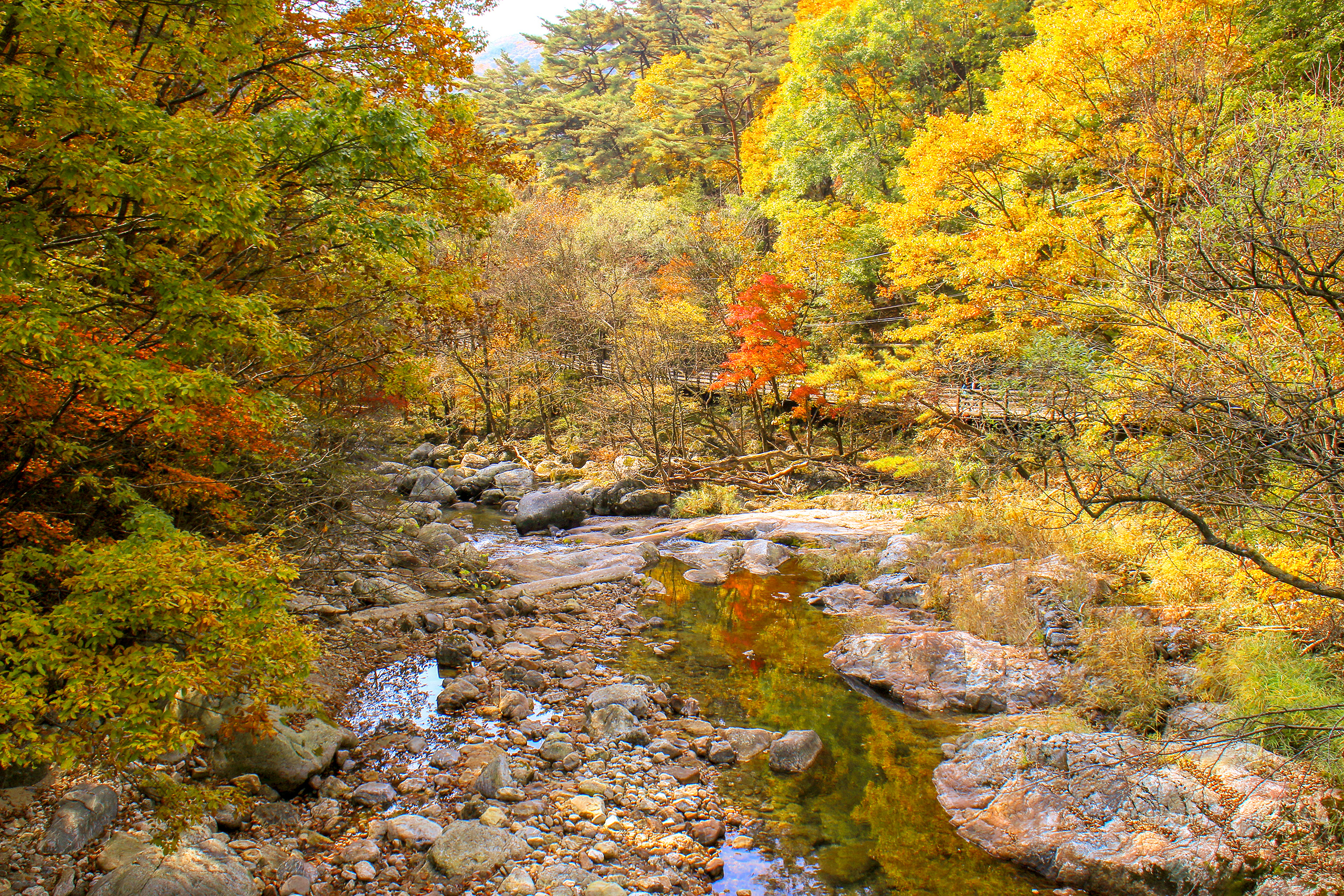 10월, 치악산 단풍