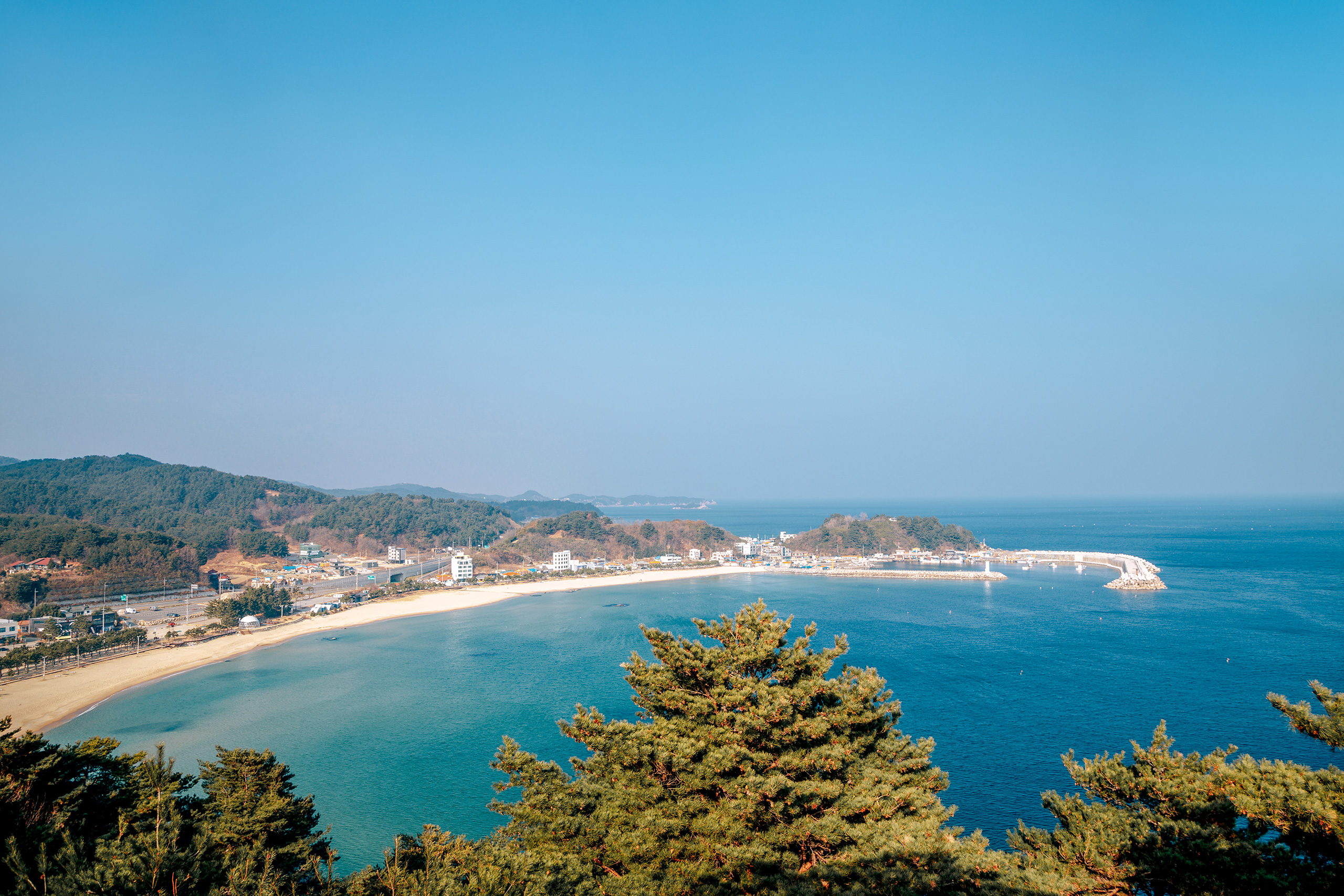 양양 죽도해변 캠핑