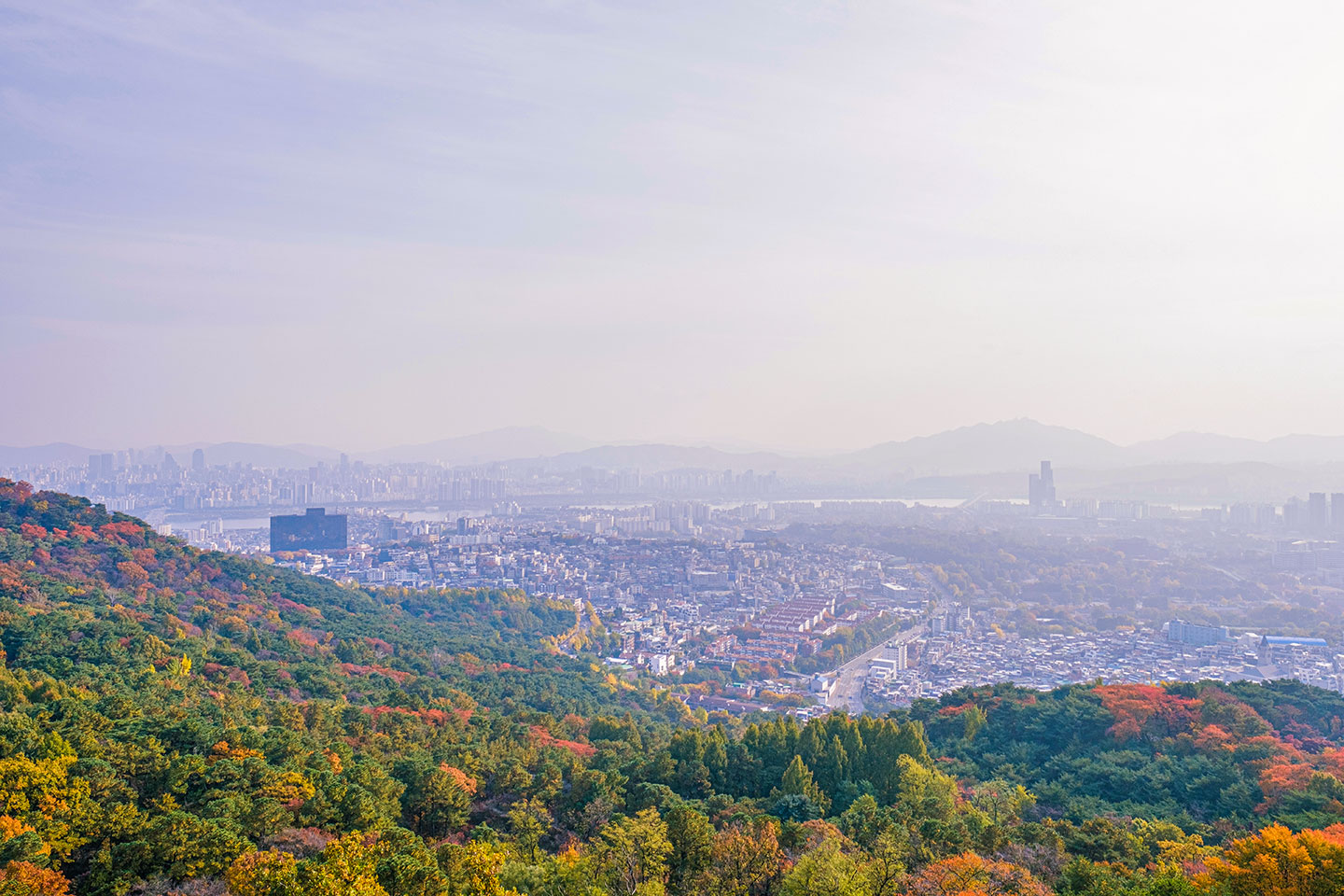 남산 서울 전경