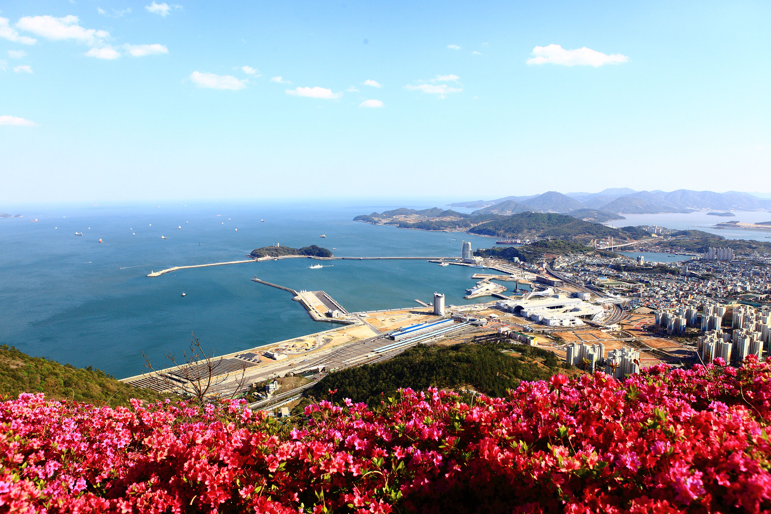 2월, 흔들리는 꽃 사이