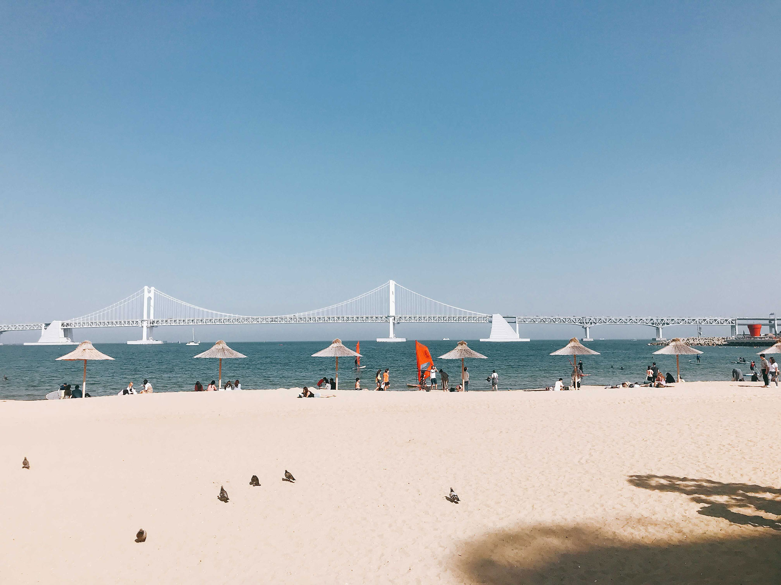 광안리 해수욕장
