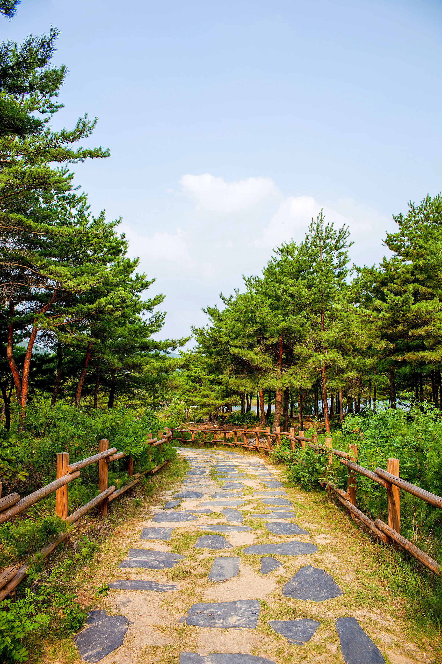 강원도 고성 송지호 산소길