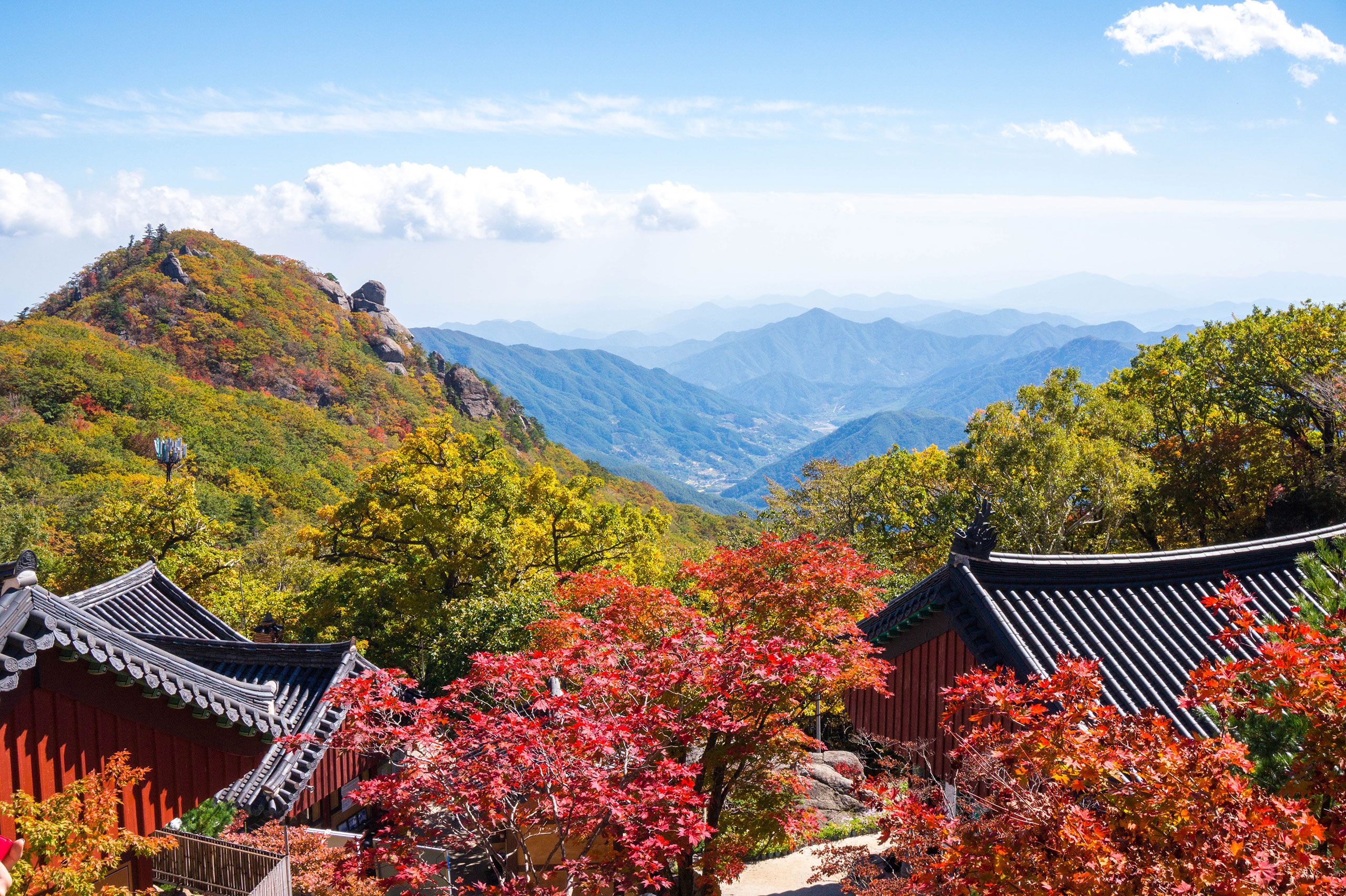 11월, 지리산의 화려한 변신