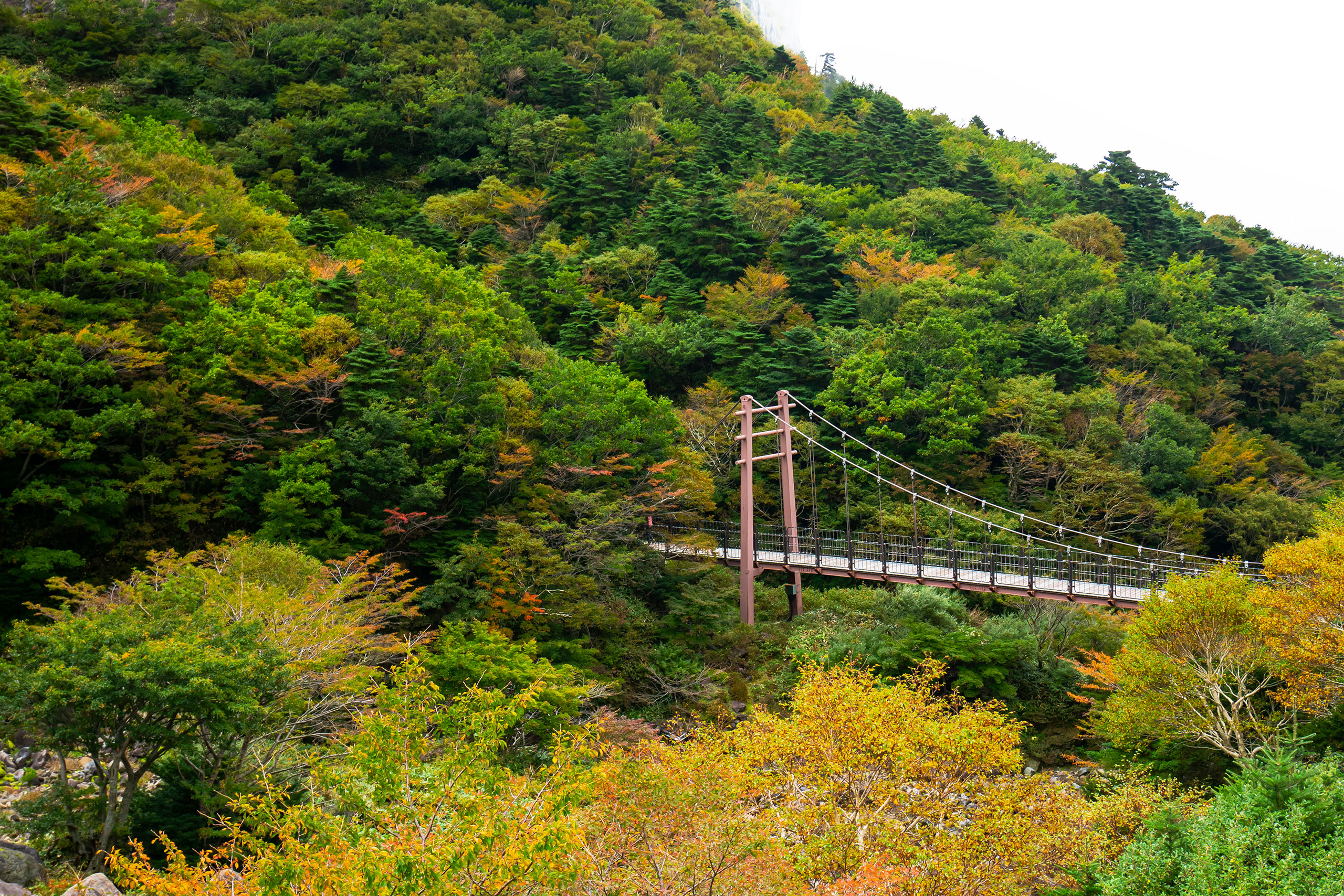 한라산 관음사 코스