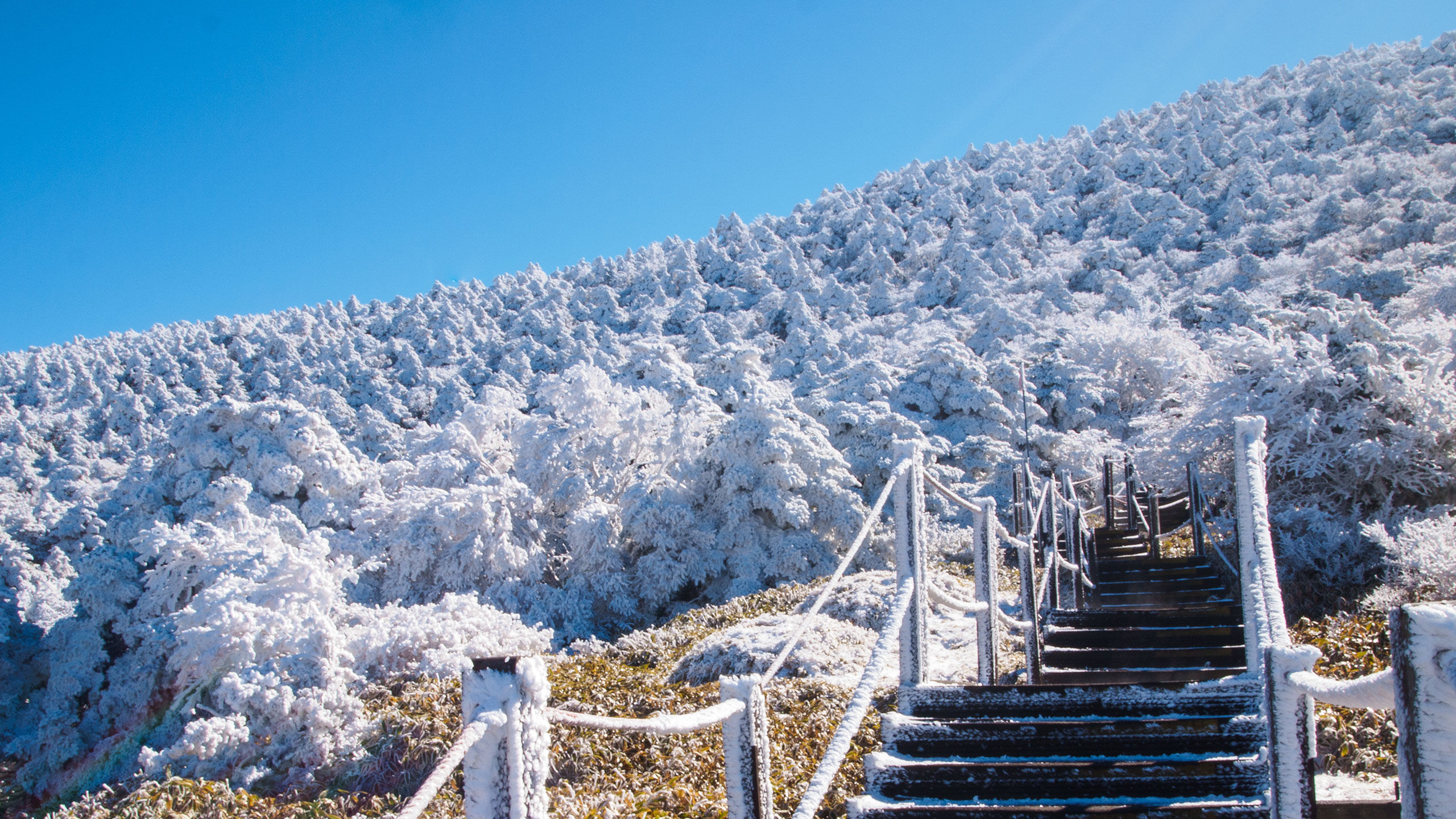 겨울 한라산