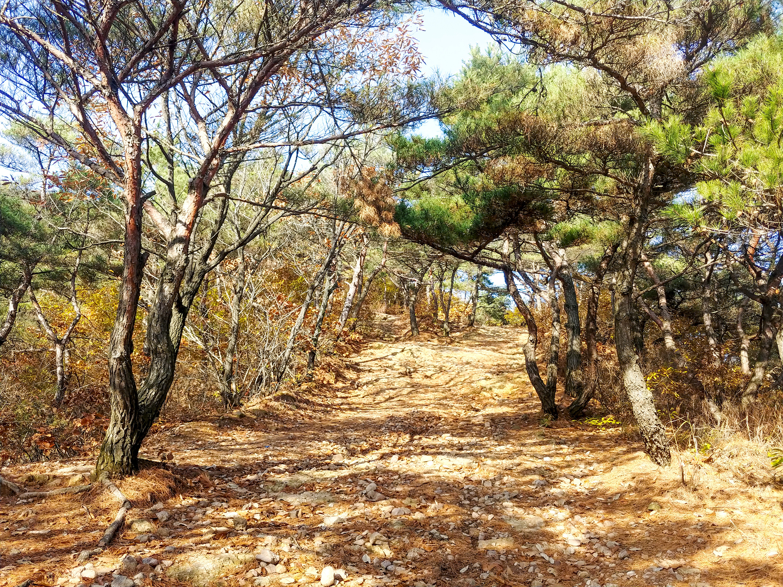 문수산
