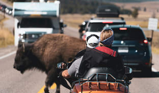 6월, 오로라가 없어도 괜찮아