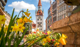 4월, 봄바람에 발걸음을 실어