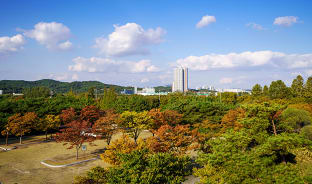 10월, 안녕! 시화호의 가을