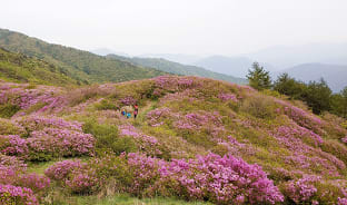 5월, 보라보라한 지리산