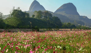 10월, 가을 마이산에 올라