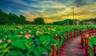 7월, 포천에 여름이 피어나