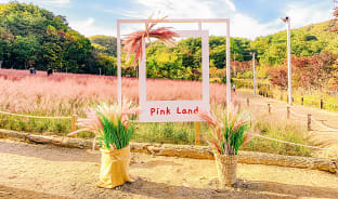 10월, 알록달록한 가을 방학