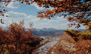 11월, 영월에 공감하다