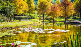 11월, 타이중을 만나기 가장 좋은 달