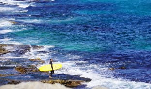 12월, 서퍼들의 천국