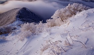 1월, 겨울왕국이 실존한다면