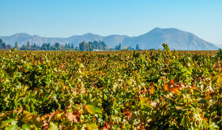 10월, 신의 물방울로 가득한