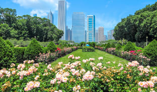 5월, 좋은 날을 보내는 법