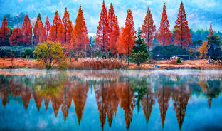 10월, 물든 숲을 걷다