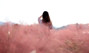 10월, 우리 핑크빛 길만 걷자