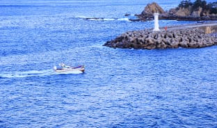 12월, 겨울바다의 분위기 함께