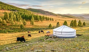 4월, 몽골의 알프스가 품은 신비