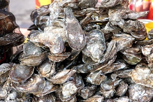 섬진강벚굴:사진제공(김지호)-한국관광공사