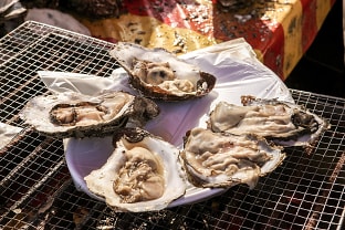 섬진강벚굴:사진제공(김지호)-한국관광공사