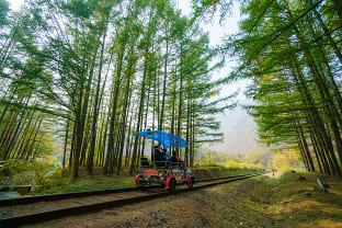 레일바이크:사진제공(마이픽쳐스)-한국관광공사