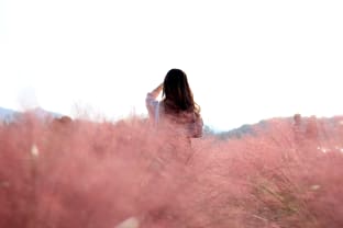 핑크뮬리