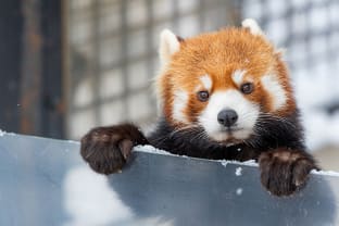 아사히야마 동물원