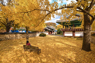 전주 풍경