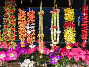 하와이 레이 종류