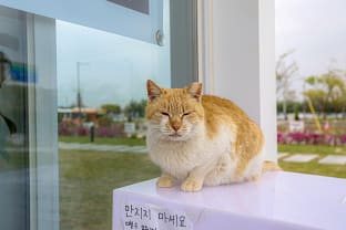 카페 캔버스 수문장