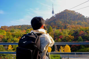 남산 사진