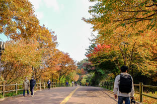 남산 둘레길