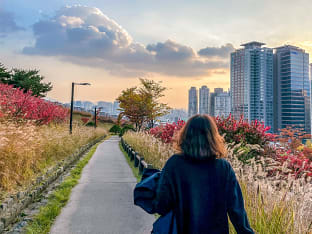 남산 공원