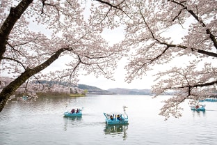 경주 보문호