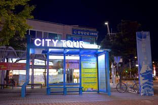 여수 낭만버스 투어 예약