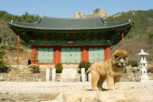 변산반도 개암사