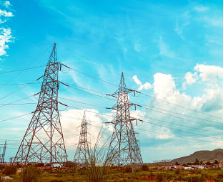 인도 라자스탄 마즈라카스