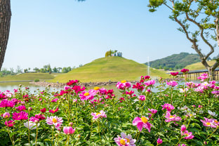 순천 국가정원