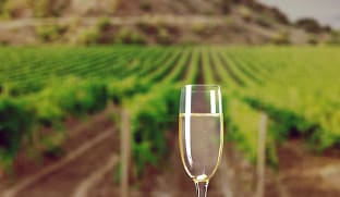 호주 야라 밸리