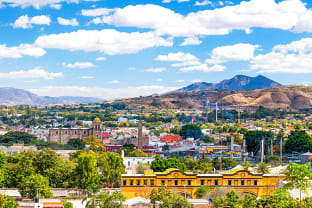 과달라하라 데킬라