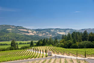 캘리포니아 와인